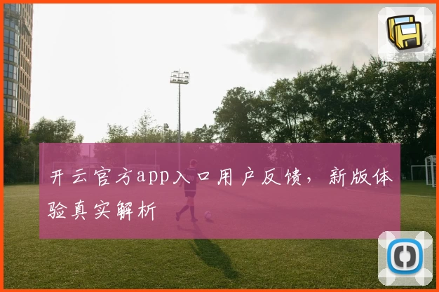 开云官方app入口用户反馈，新版体验真实解析