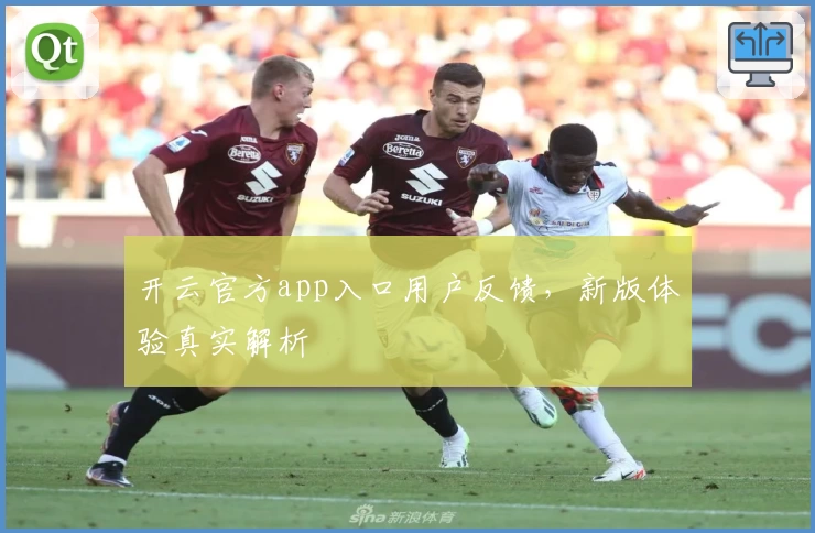 开云官方app入口用户反馈，新版体验真实解析