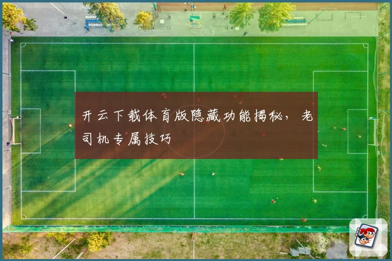 开云下载体育版隐藏功能揭秘，老司机专属技巧